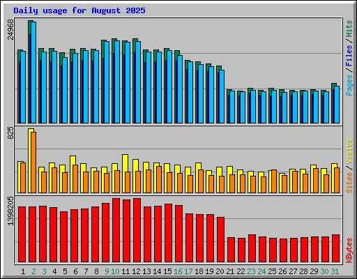Daily usage for August 2025