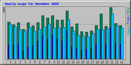 Hourly usage for November 2020