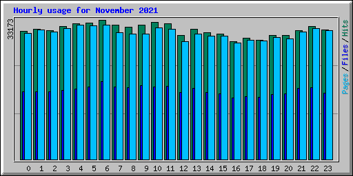 Hourly usage for November 2021