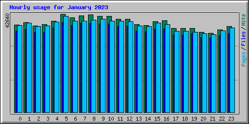 Hourly usage for January 2023