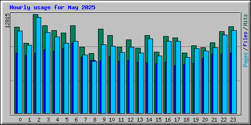 Hourly usage for May 2025