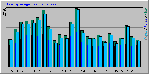 Hourly usage for June 2025