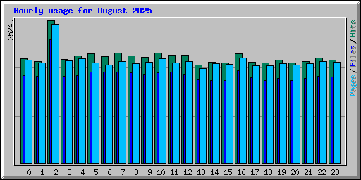 Hourly usage for August 2025