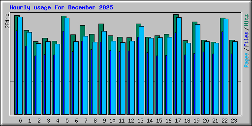 Hourly usage for December 2025