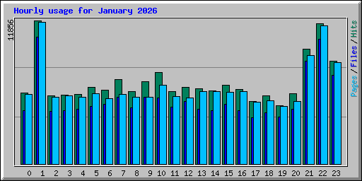 Hourly usage for January 2026