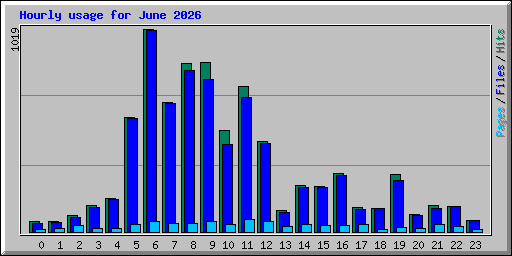 Hourly usage for June 2026