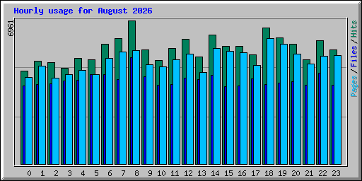 Hourly usage for August 2026